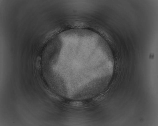 X0000091170361200708301200