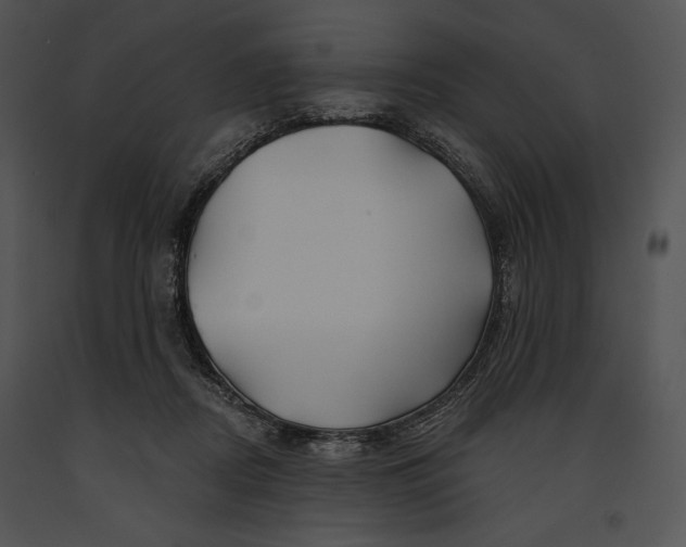 X0000091170362200708301200