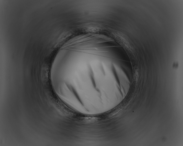 X0000091170363200708301200