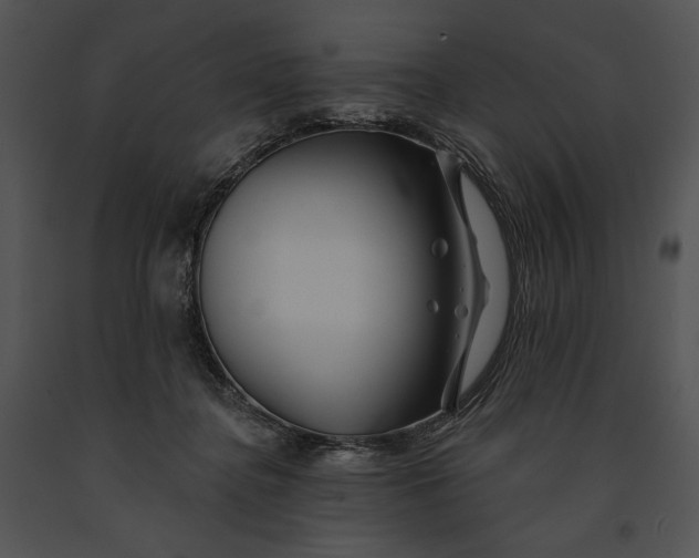 X0000091170364200708301200