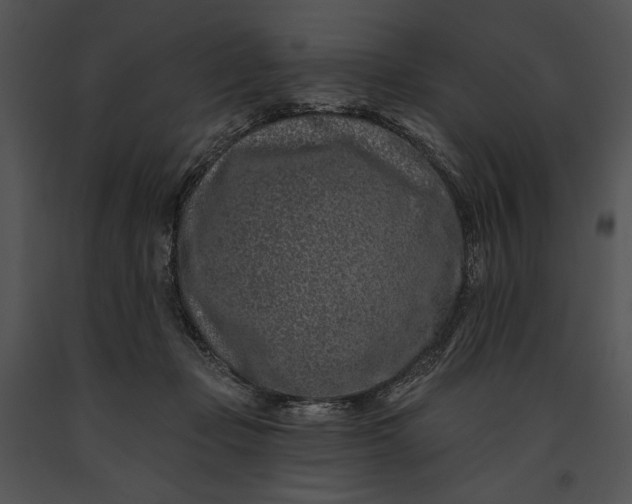 X0000091170365200708301200