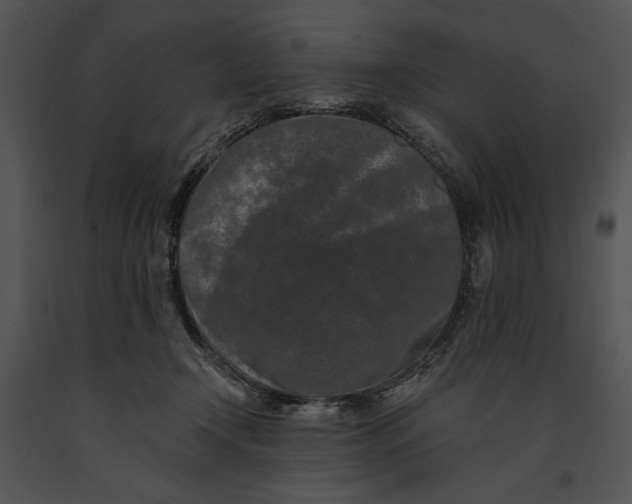 X0000091170366200708301200