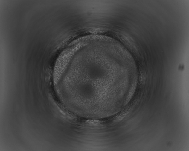 X0000091170367200708301200