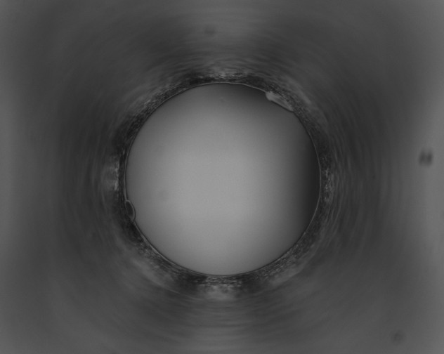 X0000091170368200708301200