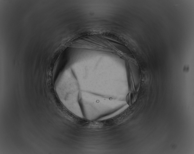 X0000091170369200708301200