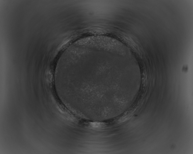 X0000091170371200708301200