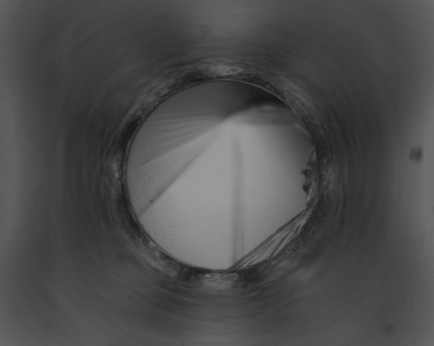 X0000091170373200708301200