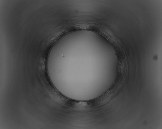 X0000091170374200708301200