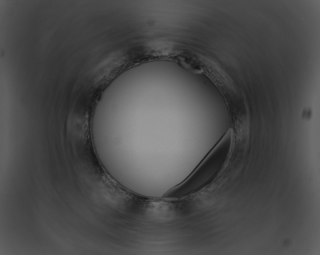 X0000091170376200708301200