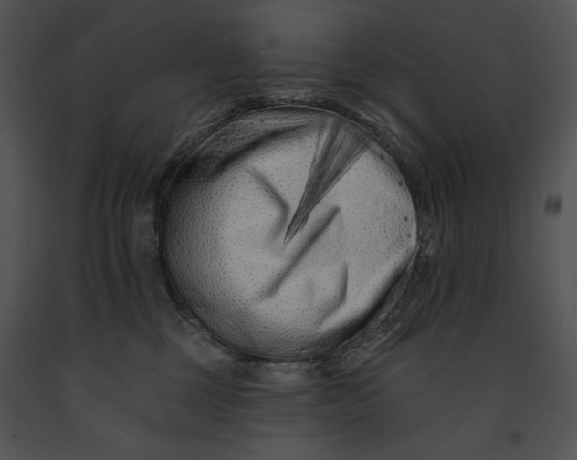 X0000091170377200708301200