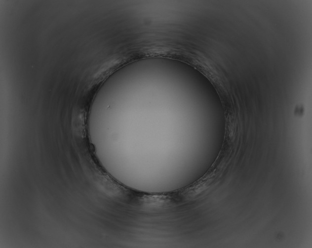 X0000091170378200708301200