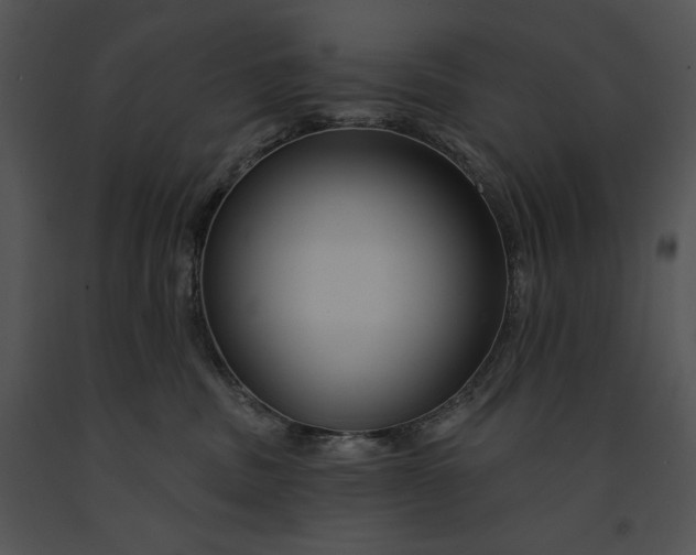 X0000091170379200708301200