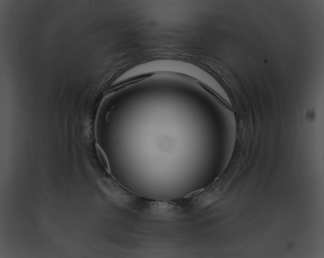 X0000091170380200708301200