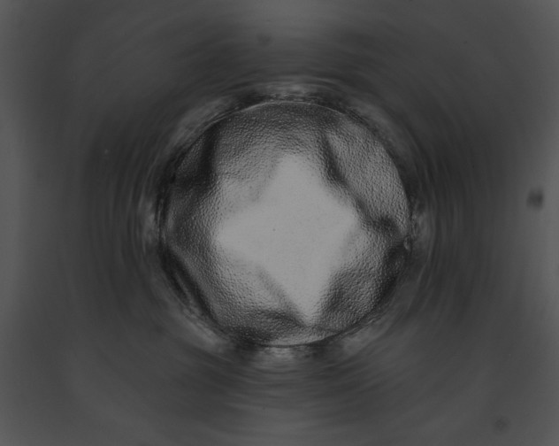 X0000091170381200708301200