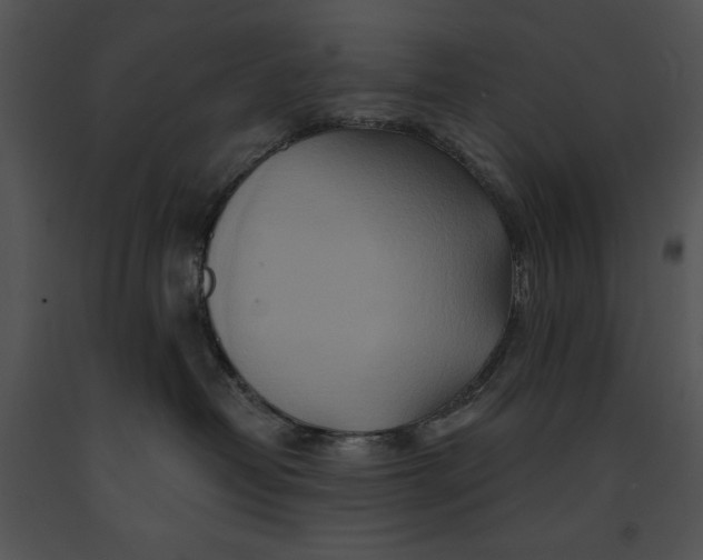 X0000091170382200708301200