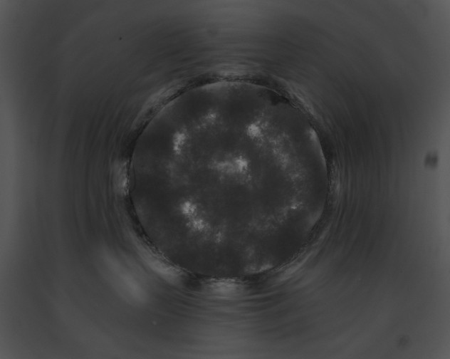 X0000091170383200708301200