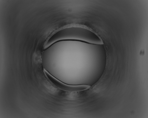 X0000091170384200708301200