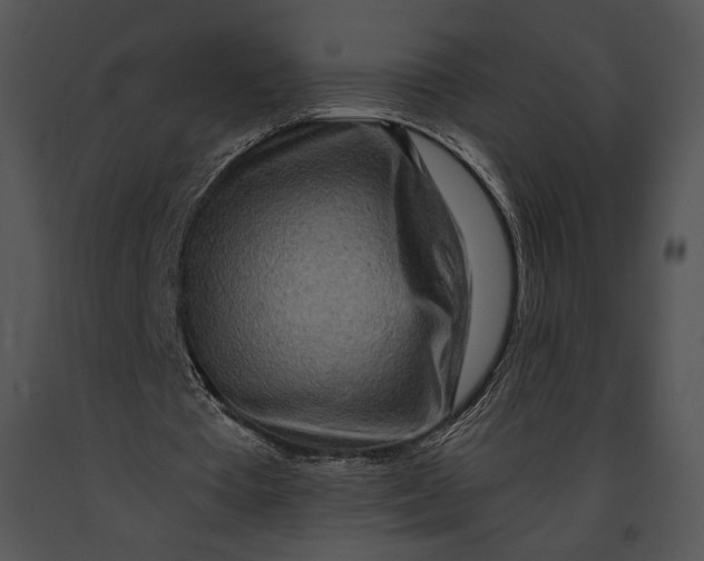 X0000091170385200708301200