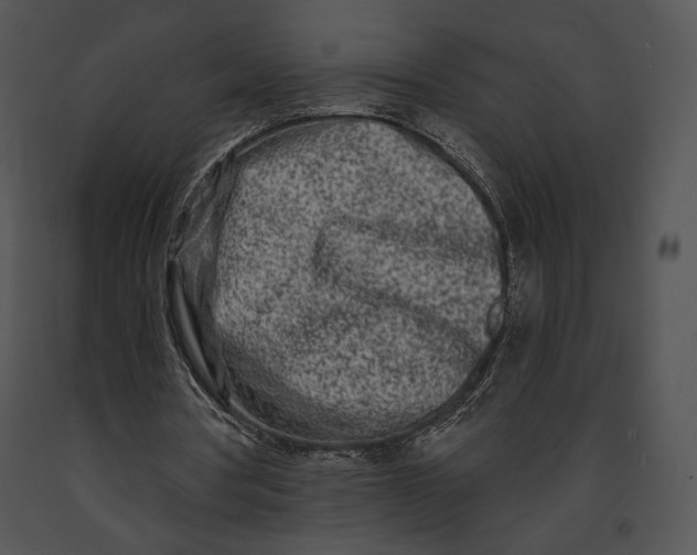 X0000091170386200708301200