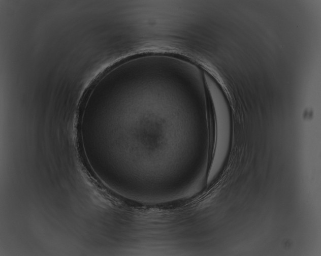 X0000091170387200708301200