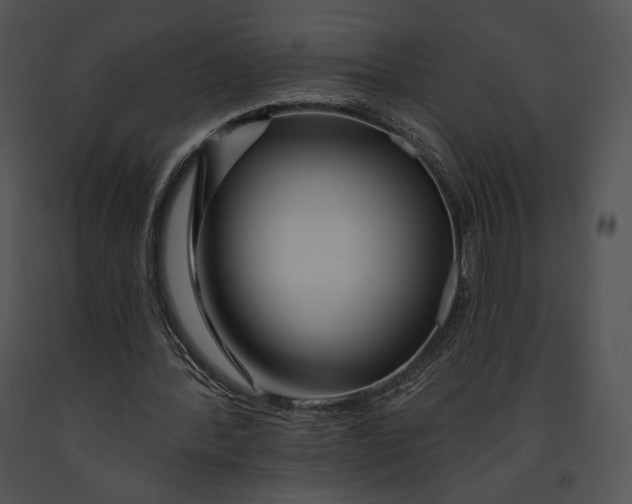 X0000091170388200708301200