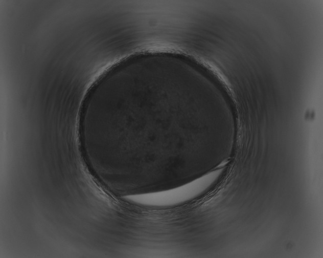 X0000091170391200708301200