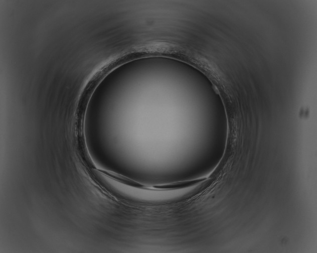 X0000091170392200708301200