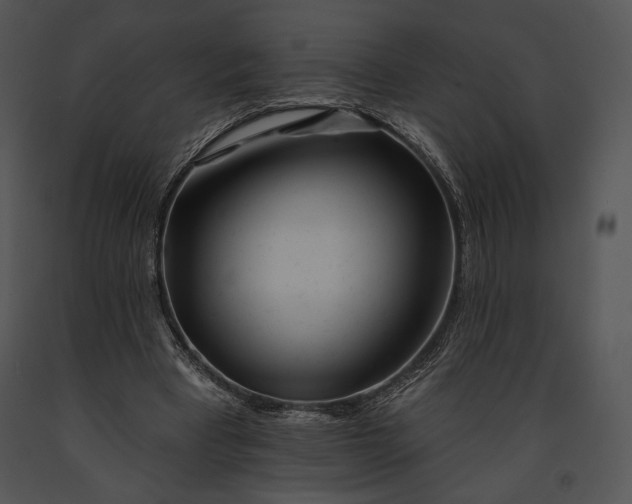 X0000091170393200708301200