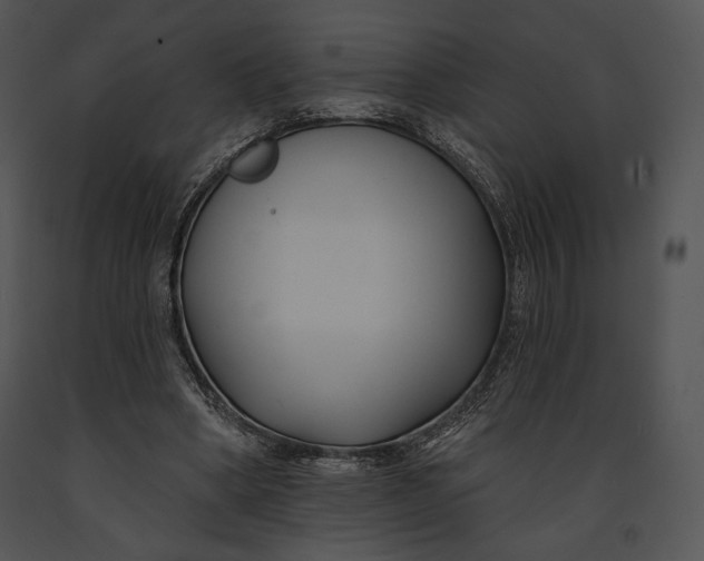 X0000091170394200708301200