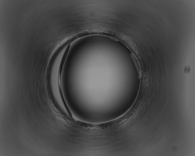 X0000091170395200708301200