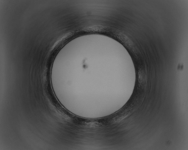 X0000091170396200708301200