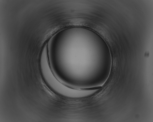 X0000091170397200708301200