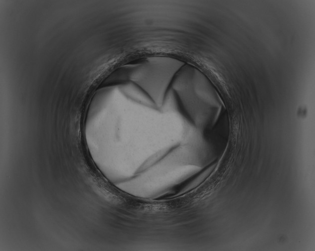 X0000091170398200708301200