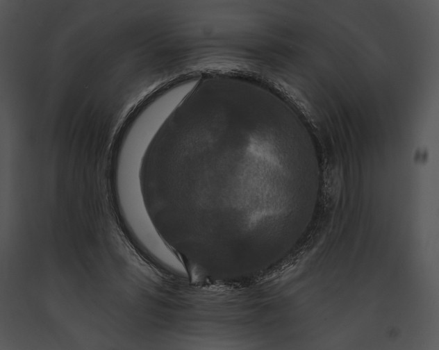 X0000091170399200708301200