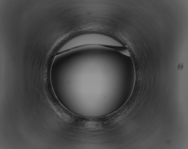 X0000091170400200708301159