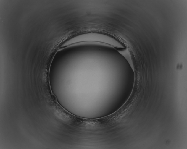 X0000091170401200708301159