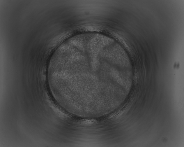 X0000091170402200708301159