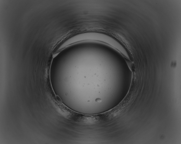 X0000091170405200708301159