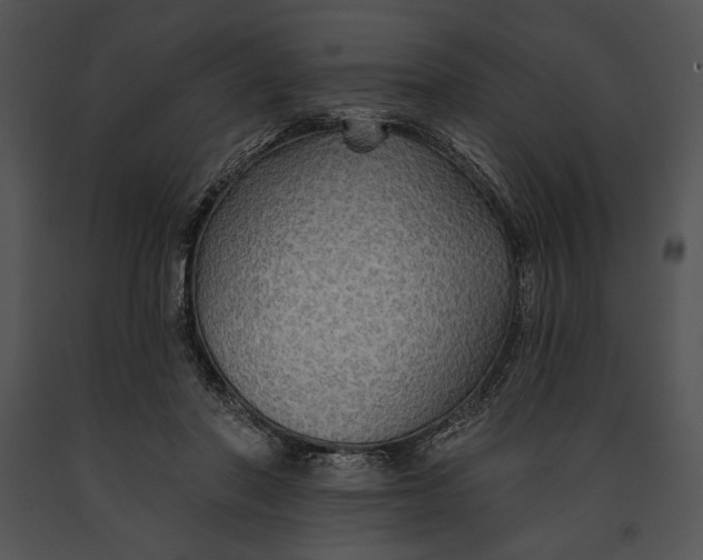 X0000091170406200708301159