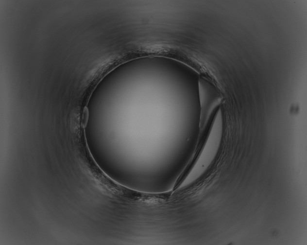 X0000091170407200708301159