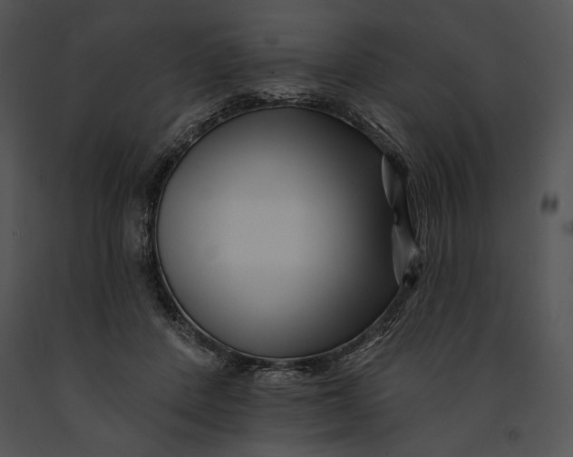 X0000091170408200708301159