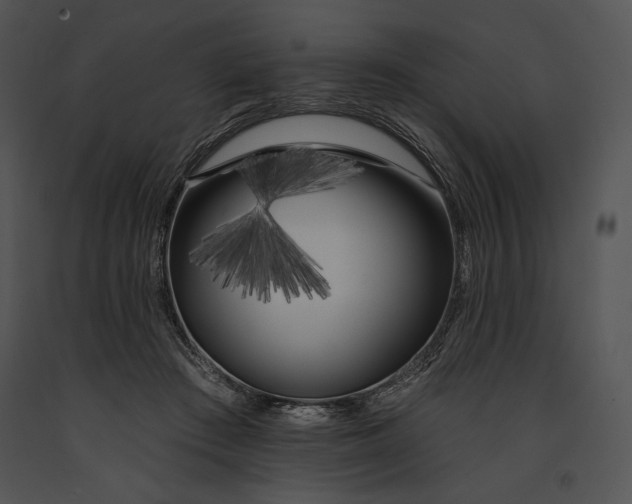 X0000091170409200708301159