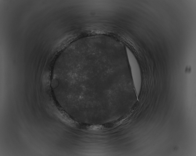 X0000091170410200708301159