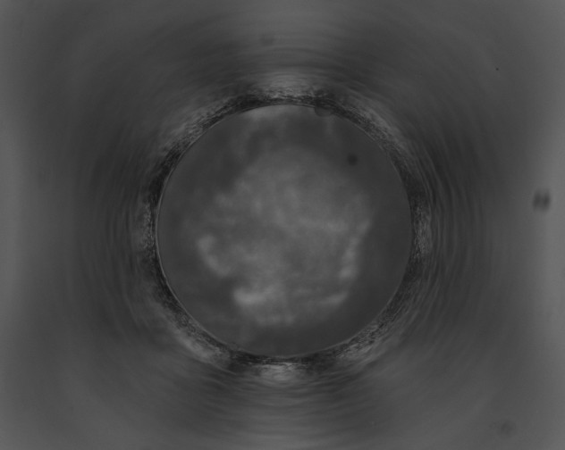 X0000091170411200708301159