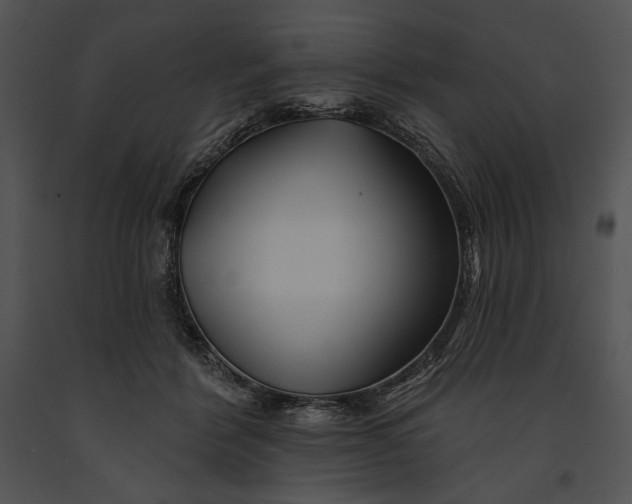 X0000091170412200708301159