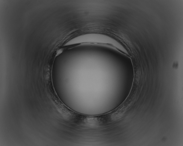 X0000091170413200708301159