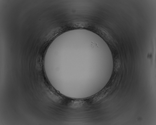 X0000091170414200708301159