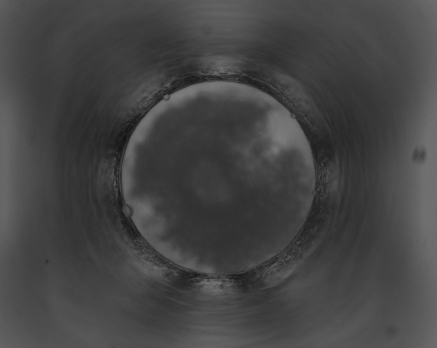 X0000091170415200708301159