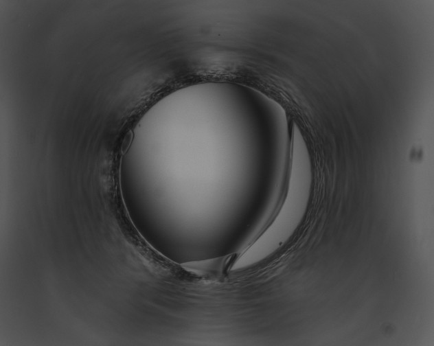 X0000091170416200708301159