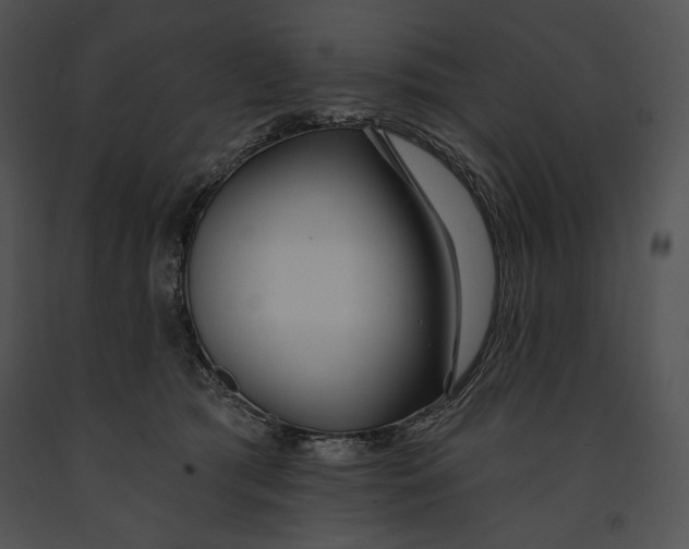 X0000091170417200708301159